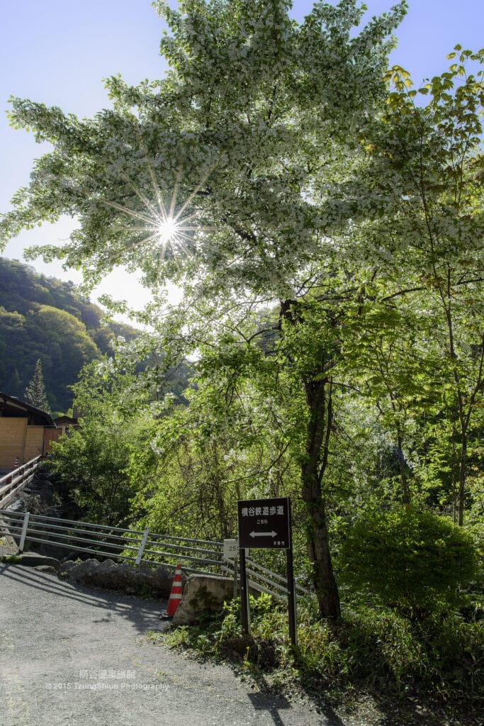 橫谷溫泉旅館