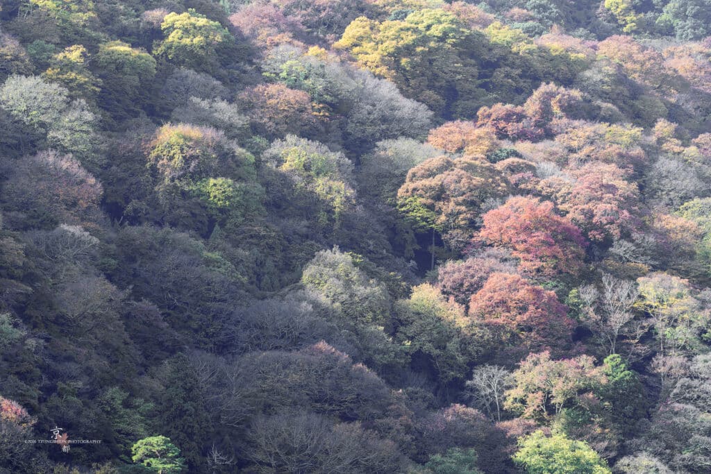 嵐山渡月橋