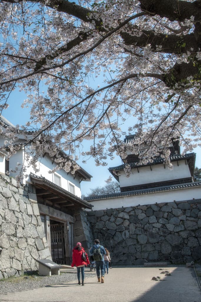 福岡城跡