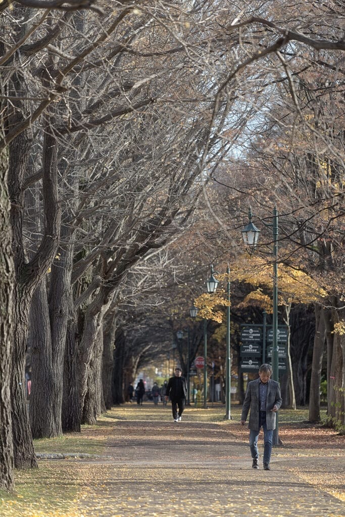 北海道大學