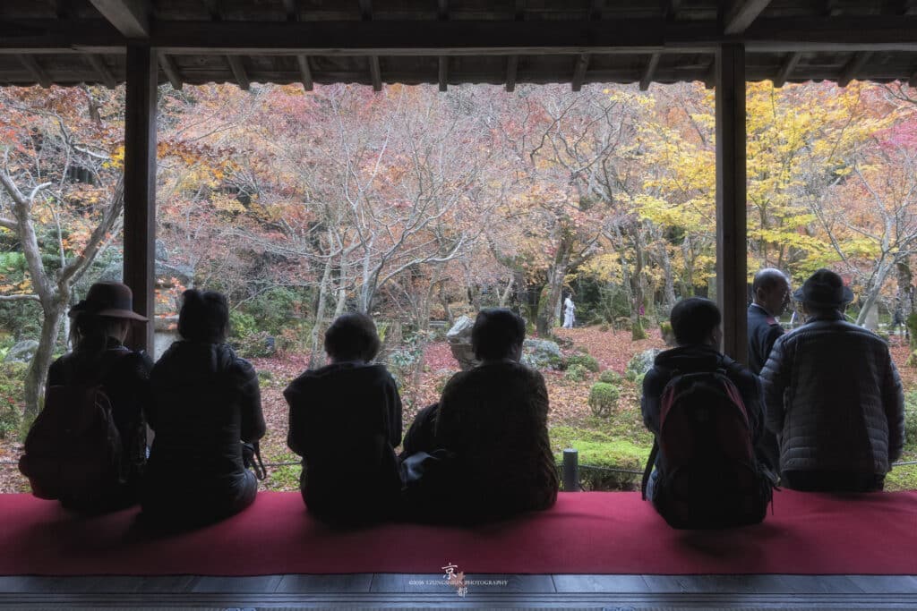 圓光寺