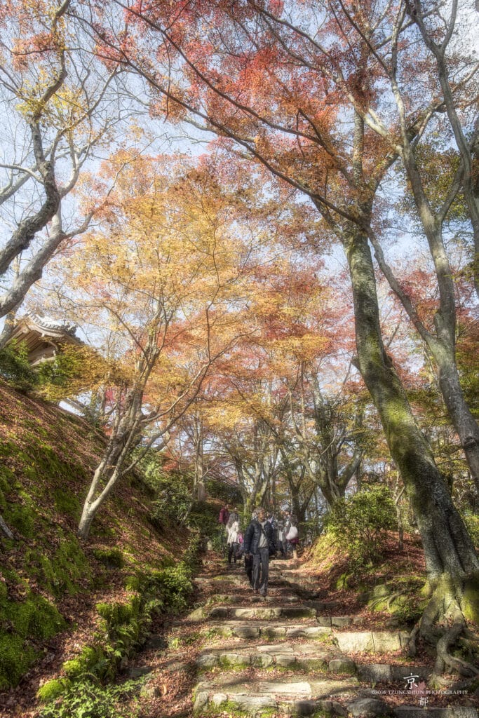 常寂光寺