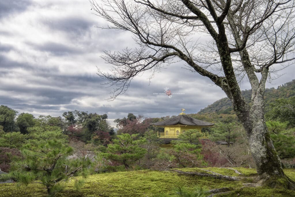 金閣寺